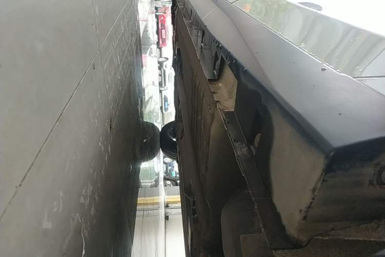 Used Venucia D60 2018 1.6L CVT Smart Connect Elite Edition Left Side Sill