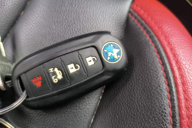 Used Venucia D60 2018 1.6L CVT Smart Connect Elite Edition Vehicle Key