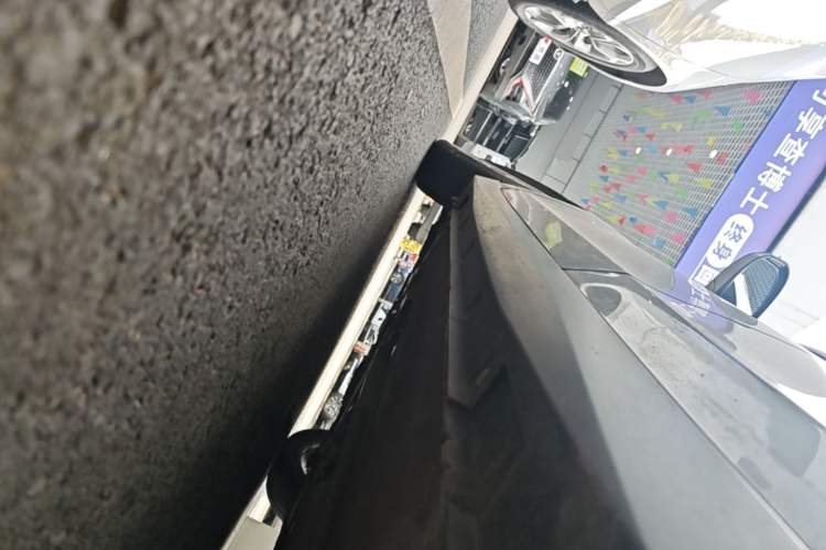 Used Venucia D60 2019 1.6L XL CVT SmartConnect Elite Edition (ISS) Left Side Sill