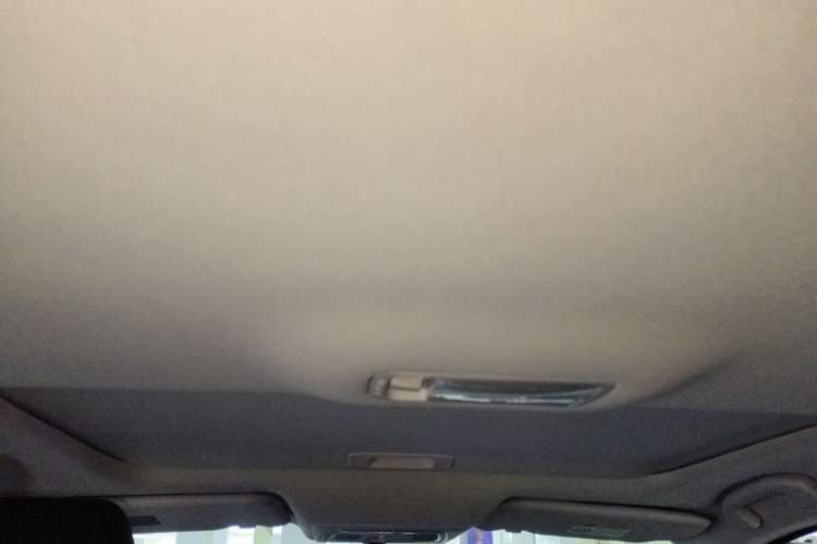 Used Venucia D60 2019 100 000-Yuan Glory 1.6L XV CVT Chenyue Edition China VI Standard Headliner