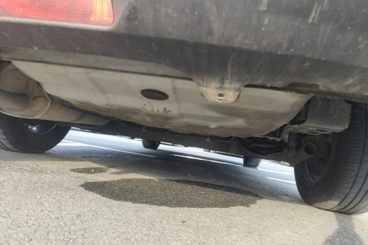 Used Venucia D60 2019 1.6L XE CVT Comfort Edition Chassis Rear