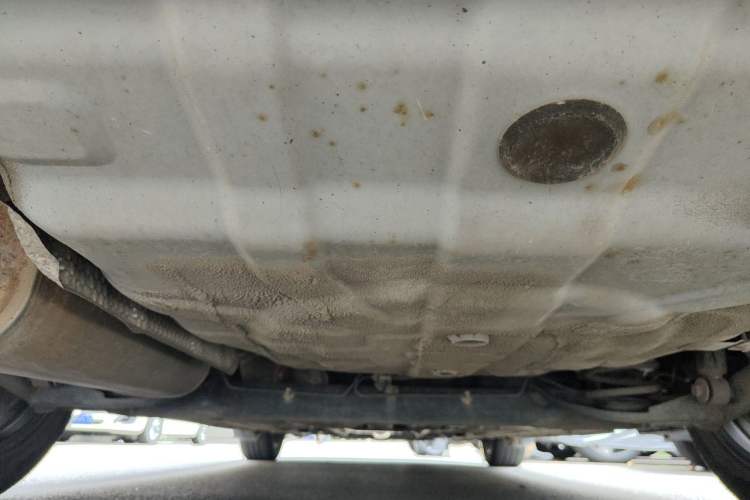Used Venucia D60 2019 1.6L XL CVT SmartConnect Elite Edition (ISS) Chassis Rear