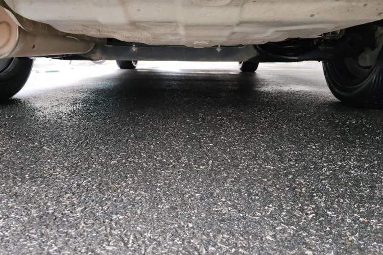 Used Venucia D60 2019 1.6L XL Manual SmartConnect Elite Edition Chassis Rear
