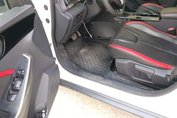Used Venucia D60 2019 1.6L XL CVT Smart Connect Elite Edition Driver Seat