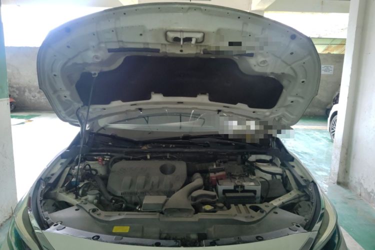 Used Venucia D60 2019 100 000 Glory 1.6L XL Manual Chenku Edition China VI Engine Bay