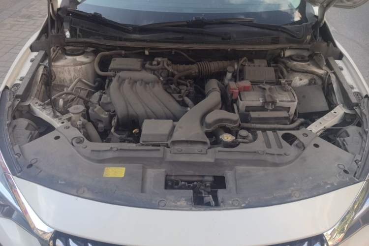 Used Venucia D60 2019 100 000-Yuan Glory 1.6L XE CVT Chenxiang Edition China VI Standard Engine Bay