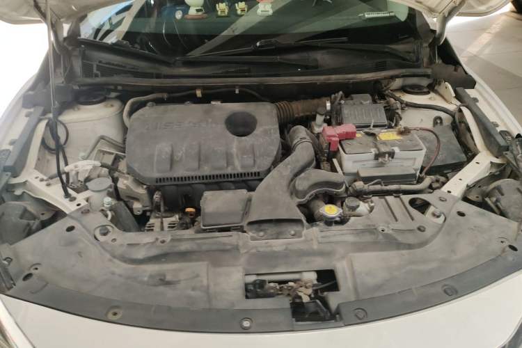 Used Venucia D60 2019 1.6L XL CVT Smart Connect Elite Edition Engine Bay