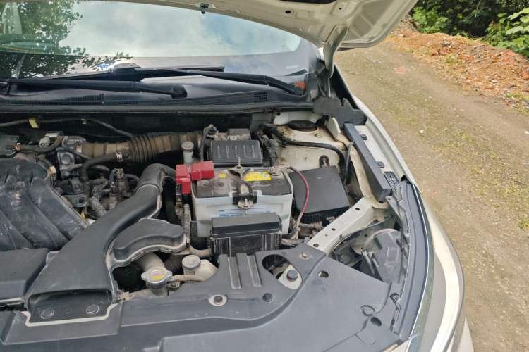 Used Venucia D60 2019 100 000-Yuan Glory 1.6L Entry Manual ChenShang Edition China V Standard Engine Bay Left