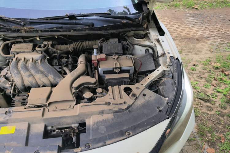 Used Venucia D60 2019 100 000 Glory 1.6L Entry Manual ChenShang Edition China VI Engine Bay Left