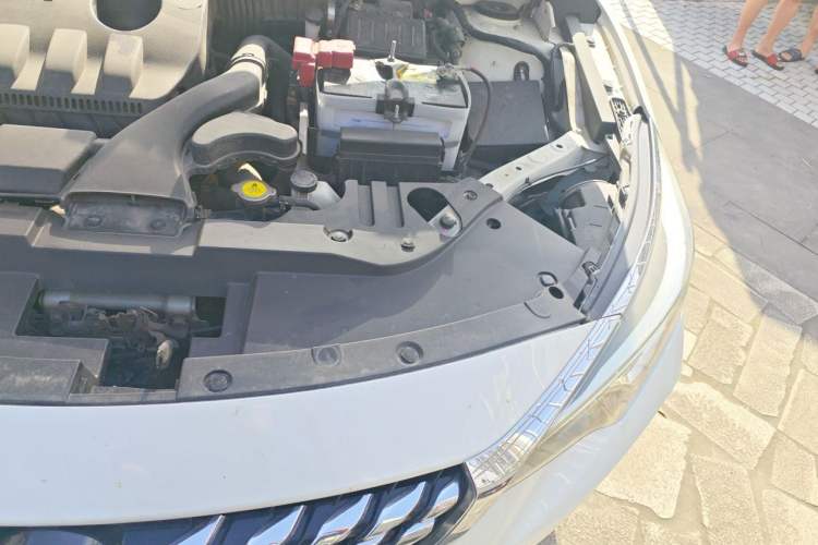 Used Venucia D60 2019 100 000 Glory 1.6L XL Manual Chenku Edition China VI Engine Bay Left