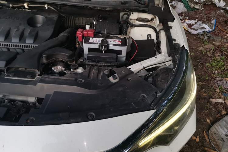 Used Venucia D60 2019 1.6L XL CVT Smart Connect Elite Edition Engine Bay Left