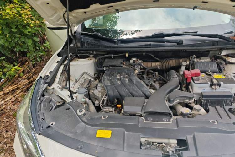 Used Venucia D60 2019 100 000-Yuan Glory 1.6L Entry Manual ChenShang Edition China V Standard Engine Bay Right