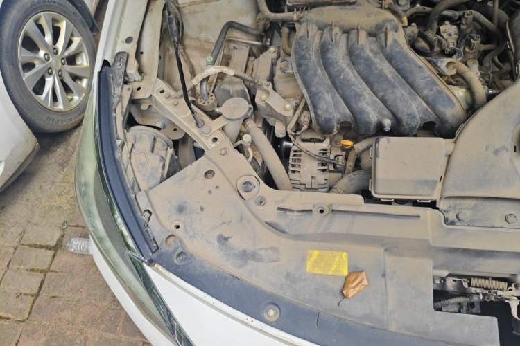 Used Venucia D60 2019 100 000-Yuan Glory 1.6L Entry Manual ChenShang Edition China V Standard Engine Bay Right
