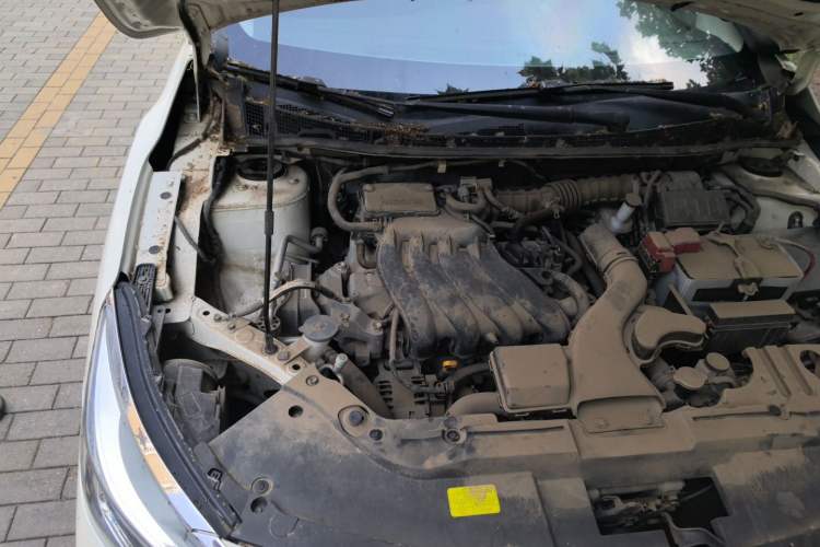 Used Venucia D60 2019 100 000 Glory 1.6L Entry Manual ChenShang Edition China VI Engine Bay Right