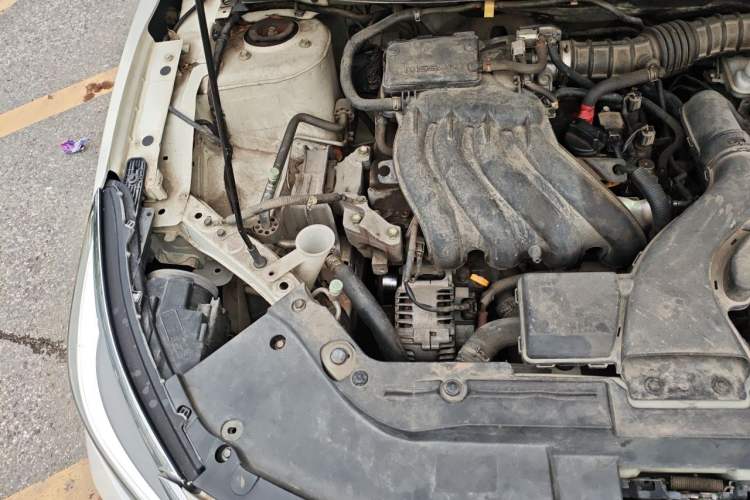 Used Venucia D60 2019 100 000-Yuan Glory 1.6L Entry Manual ChenShang Edition China V Standard Engine Bay Right