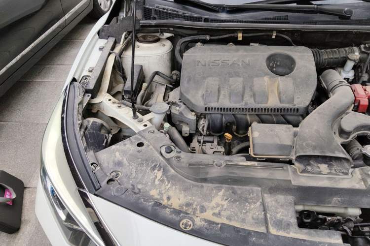 Used Venucia D60 2019 1.6L XL CVT SmartConnect Elite Edition (ISS) Engine Bay Right