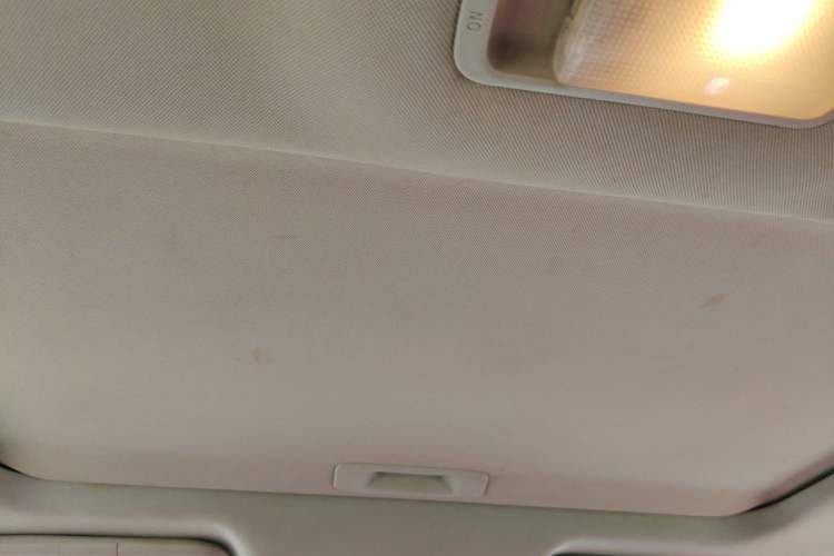 Used Venucia D60 2019 1.6L XL CVT Smart Connect Elite Edition Headliner
