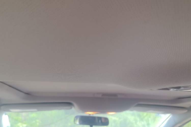 Used Venucia D60 2019 100 000 Honor 1.6L XL CVT Chenku Edition China VI Standard Headliner