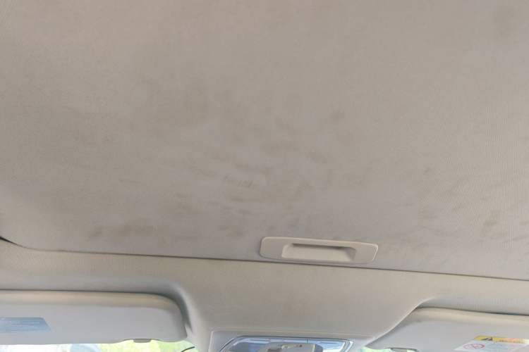 Used Venucia D60 2019 100 000 Glory 1.6L XL Manual Chenku Edition China VI Headliner
