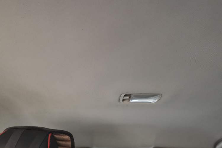 Used Venucia D60 2019 1.6L Entry Manual Fashion Edition Headliner