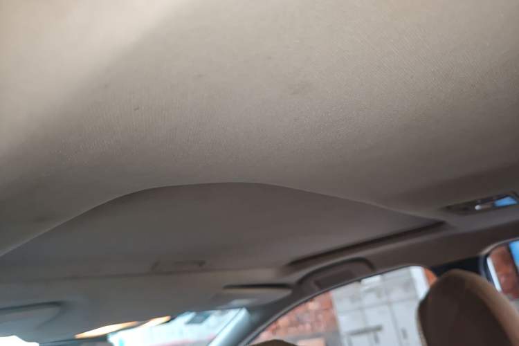 Used Venucia D60 2019 1.6L XL CVT Smart Connect Elite Edition Headliner