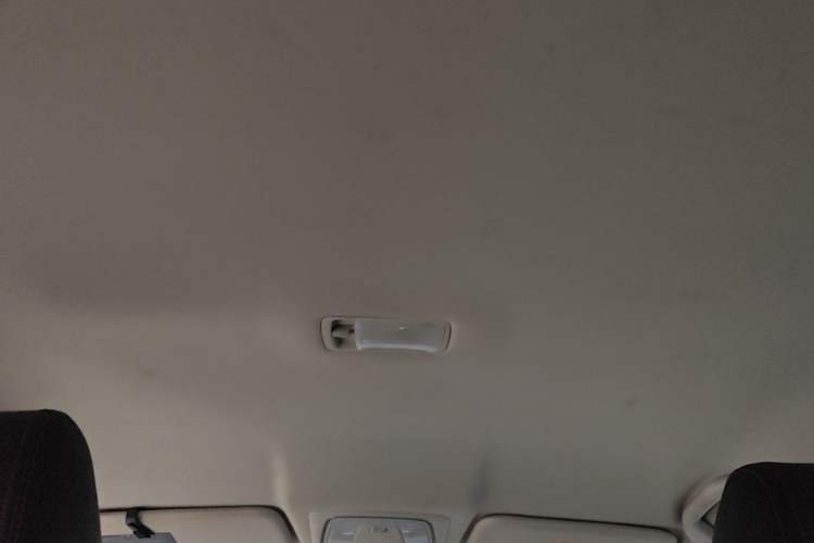 Used Venucia D60 2019 100 000 Glory 1.6L Entry Manual ChenShang Edition China VI Headliner
