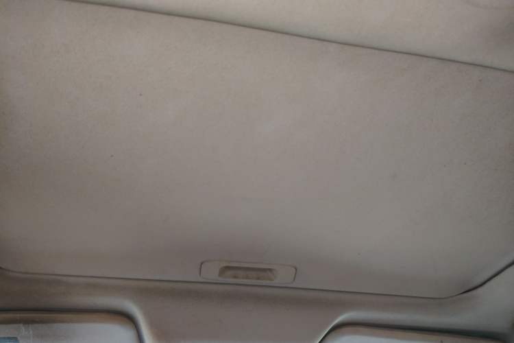 Used Venucia D60 2019 100 000 Honor 1.6L XL CVT Chenku Edition China VI Standard Headliner