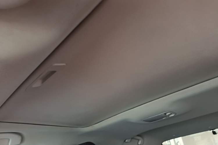 Used Venucia D60 2019 100 000 Honor 1.6L XL CVT Chenku Edition China V Standard Headliner