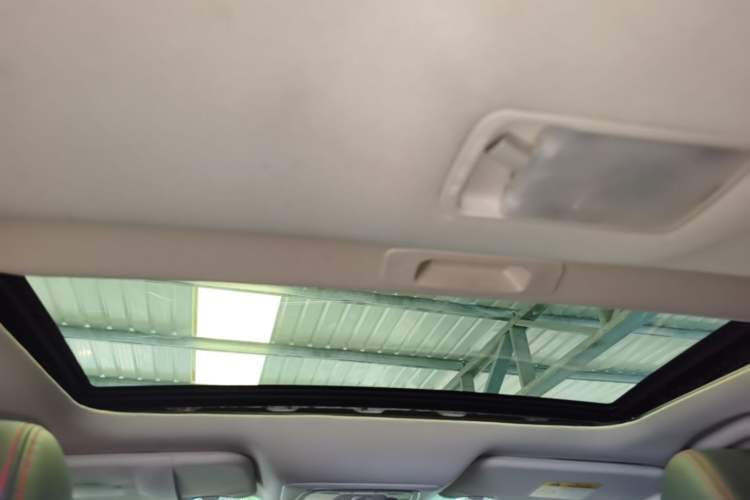 Used Venucia D60 2019 1.6L XL Manual SmartConnect Elite Edition Headliner