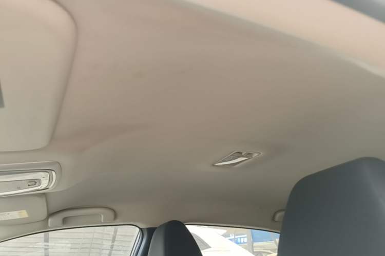 Used Venucia D60 2019 100 000 Glory 1.6L Entry Manual ChenShang Edition China VI Headliner