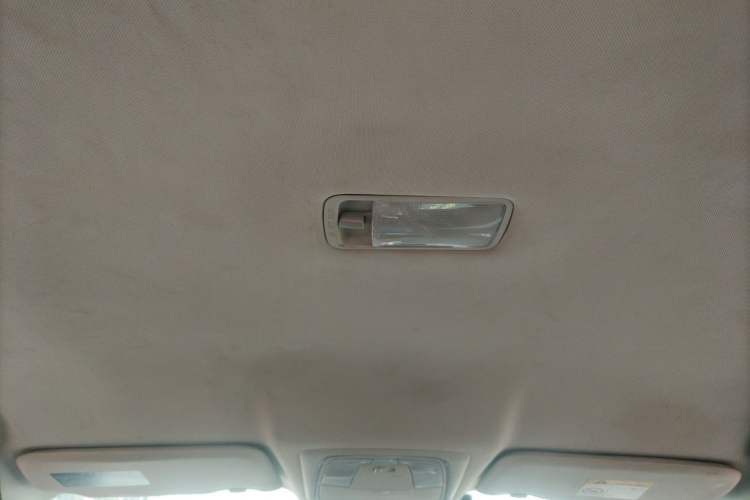 Used Venucia D60 2019 100 000-Yuan Glory 1.6L XE CVT Chenxiang Edition China VI Standard Headliner