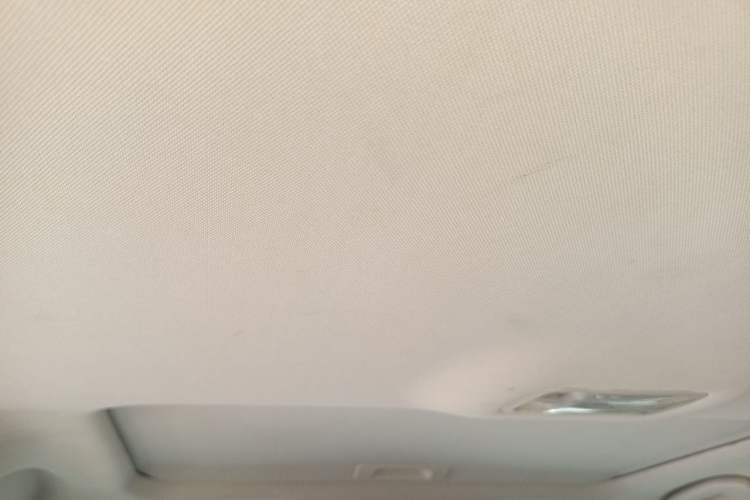Used Venucia D60 2019 1.6L XL CVT Smart Connect Elite Edition Headliner