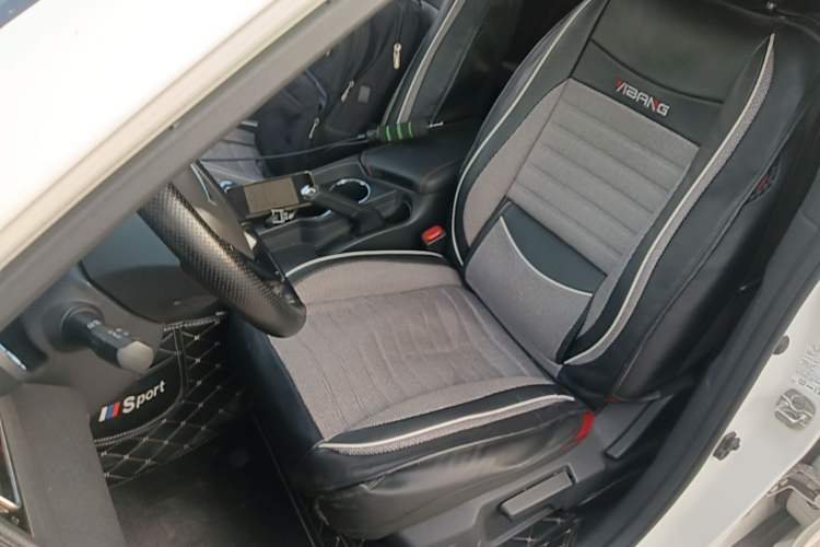 Used Venucia D60 2019 100 000 Glory 1.6L XL Manual Chenku Edition China VI Left Front Seat