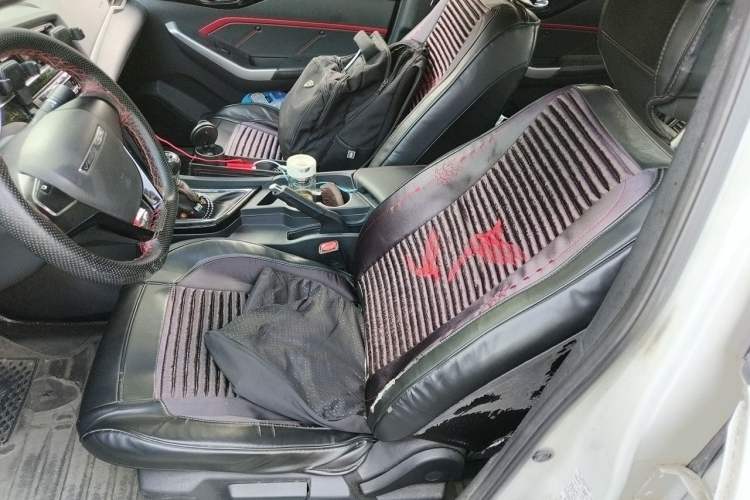 Used Venucia D60 2019 100 000 Glory 1.6L Entry Manual ChenShang Edition China VI Left Front Seat