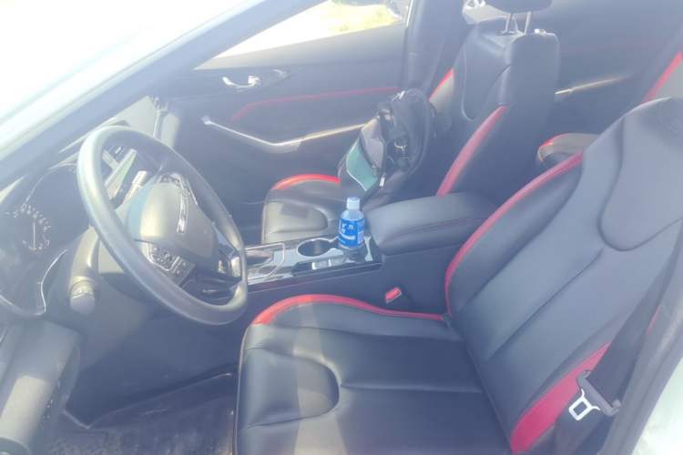 Used Venucia D60 2019 100 000 Honor 1.6L XL CVT Chenku Edition China VI Standard Left Front Seat