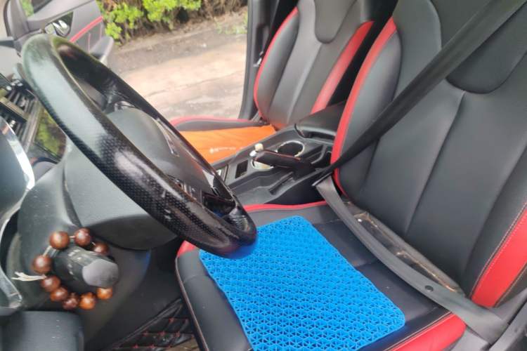 Used Venucia D60 2019 100 000-Yuan Glory 1.6L XE CVT Chenxiang Edition China V Emission Standard Left Front Seat