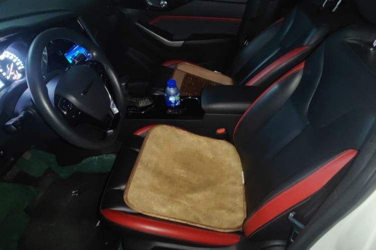 Used Venucia D60 2019 100 000 Honor 1.6L XL CVT Chenku Edition China VI Standard Left Front Seat