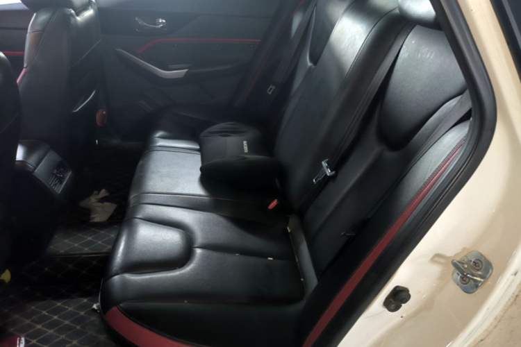 Used Venucia D60 2019 100 000 Glory 1.6L XL Manual Chenku Edition China VI Left Rear Seat