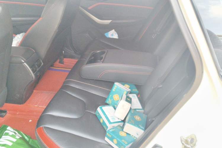 Used Venucia D60 2019 1.6L XL Manual SmartConnect Elite Edition Left Rear Seat