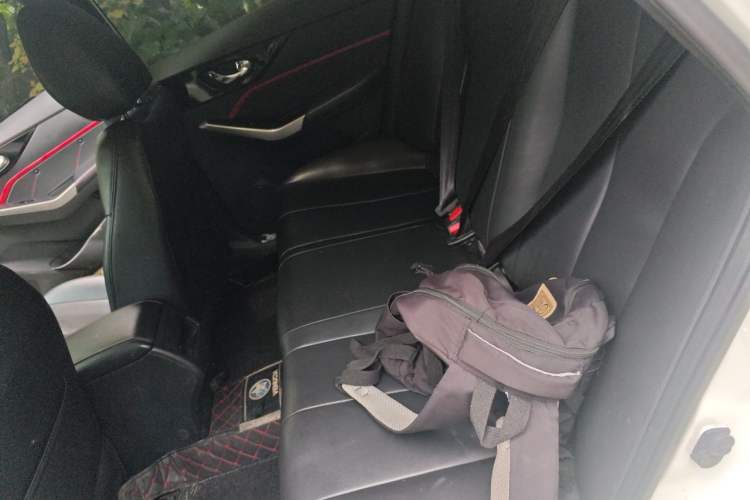 Used Venucia D60 2019 100 000-Yuan Glory 1.6L Entry Manual ChenShang Edition China V Standard Left Rear Seat