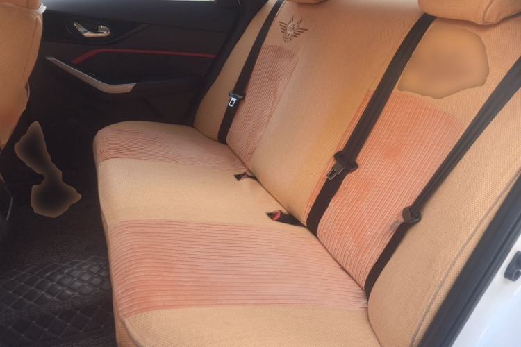 Used Venucia D60 2019 100 000-Yuan Glory 1.6L XE CVT Chenxiang Edition China VI Standard Left Rear Seat