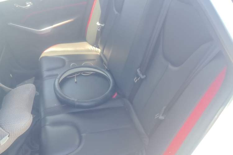 Used Venucia D60 2019 100 000 Honor 1.6L XL CVT Chenku Edition China VI Standard Left Rear Seat