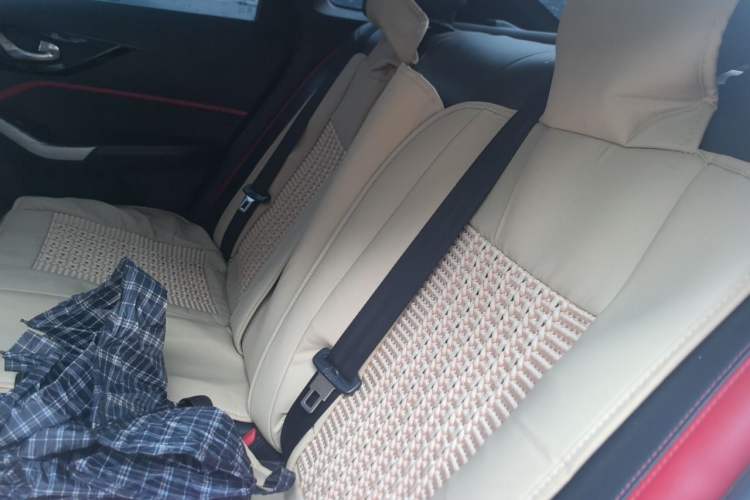 Used Venucia D60 2019 100 000 Honor 1.6L XL CVT Chenku Edition China VI Standard Left Rear Seat