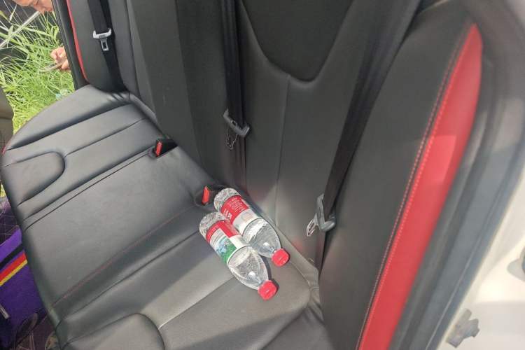 Used Venucia D60 2019 100 000 Glory 1.6L XL Manual Chenku Edition China VI Left Rear Seat