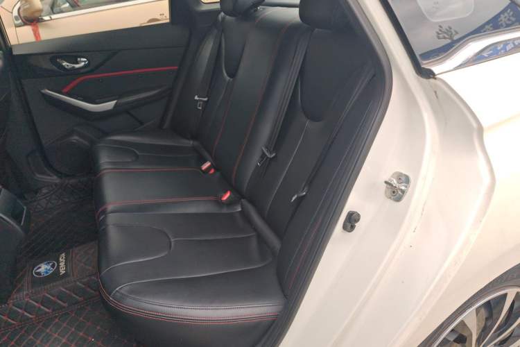 Used Venucia D60 2019 100 000 Glory 1.6L Entry Manual ChenShang Edition China VI Left Rear Seat
