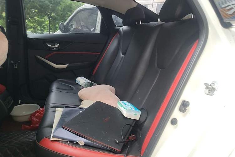 Used Venucia D60 2019 100 000 Glory 1.6L XL Manual Chenku Edition China VI Left Rear Seat
