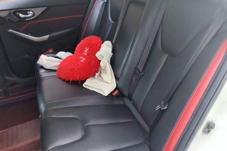 Used Venucia D60 2019 1.6L XL CVT SmartConnect Elite Edition (ISS) Left Rear Seat