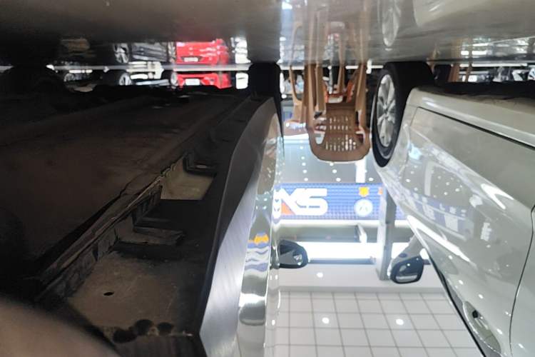 Used Venucia D60 2019 1.6L XL CVT Smart Connect Elite Edition Left Side Sill