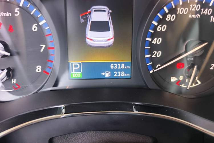 Used Venucia D60 2019 1.6L XL CVT Smart Connect Elite Edition Odometer Close Up