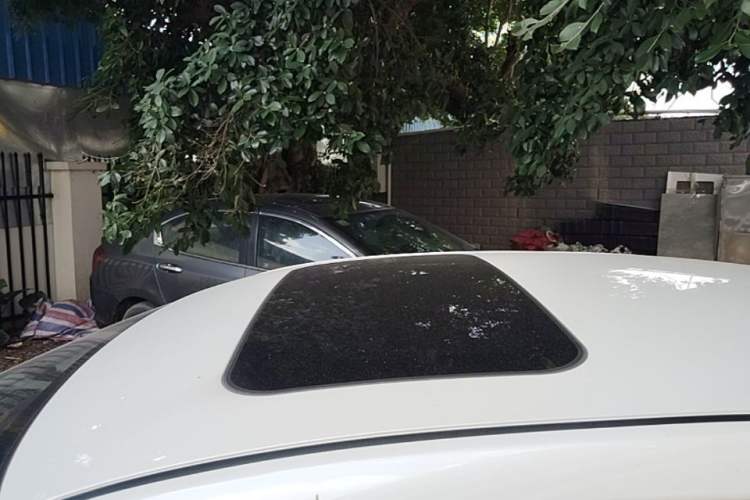 Used Venucia D60 2019 100 000 Honor 1.6L XL CVT Chenku Edition China VI Standard Roof